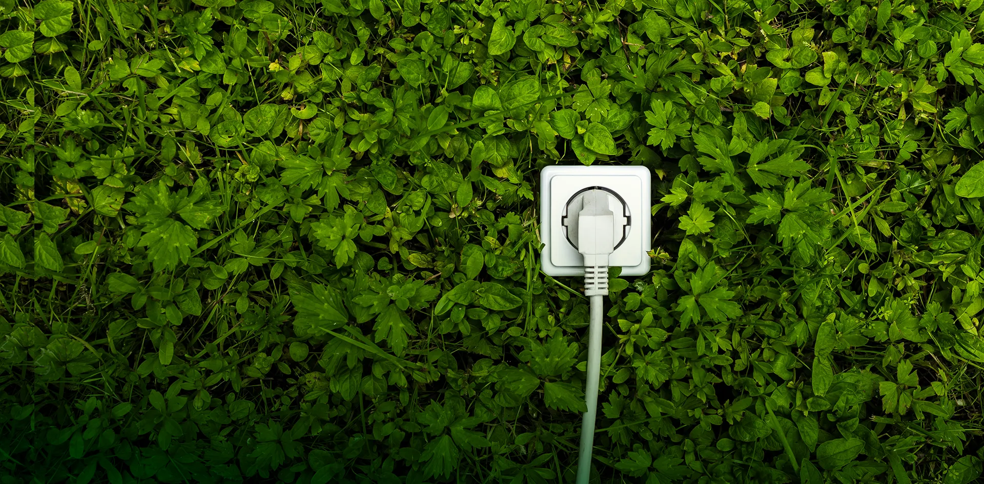 Verbunden mit der Region Steckdose mit eingestecktem Kabel liegt auf einer grünen Grasfläche, symbolisch für nachhaltige Energie.
